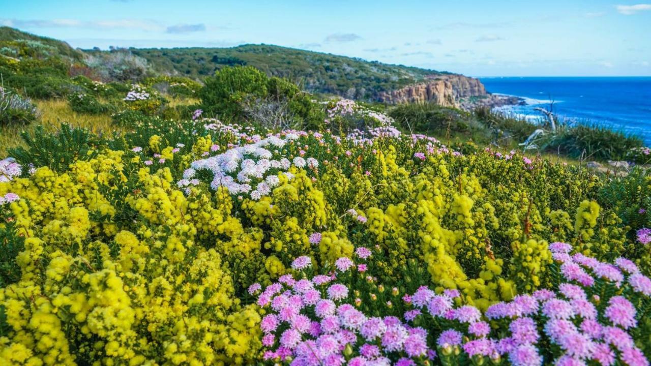 By The Sea Margaret River Gnarabup Exteriör bild